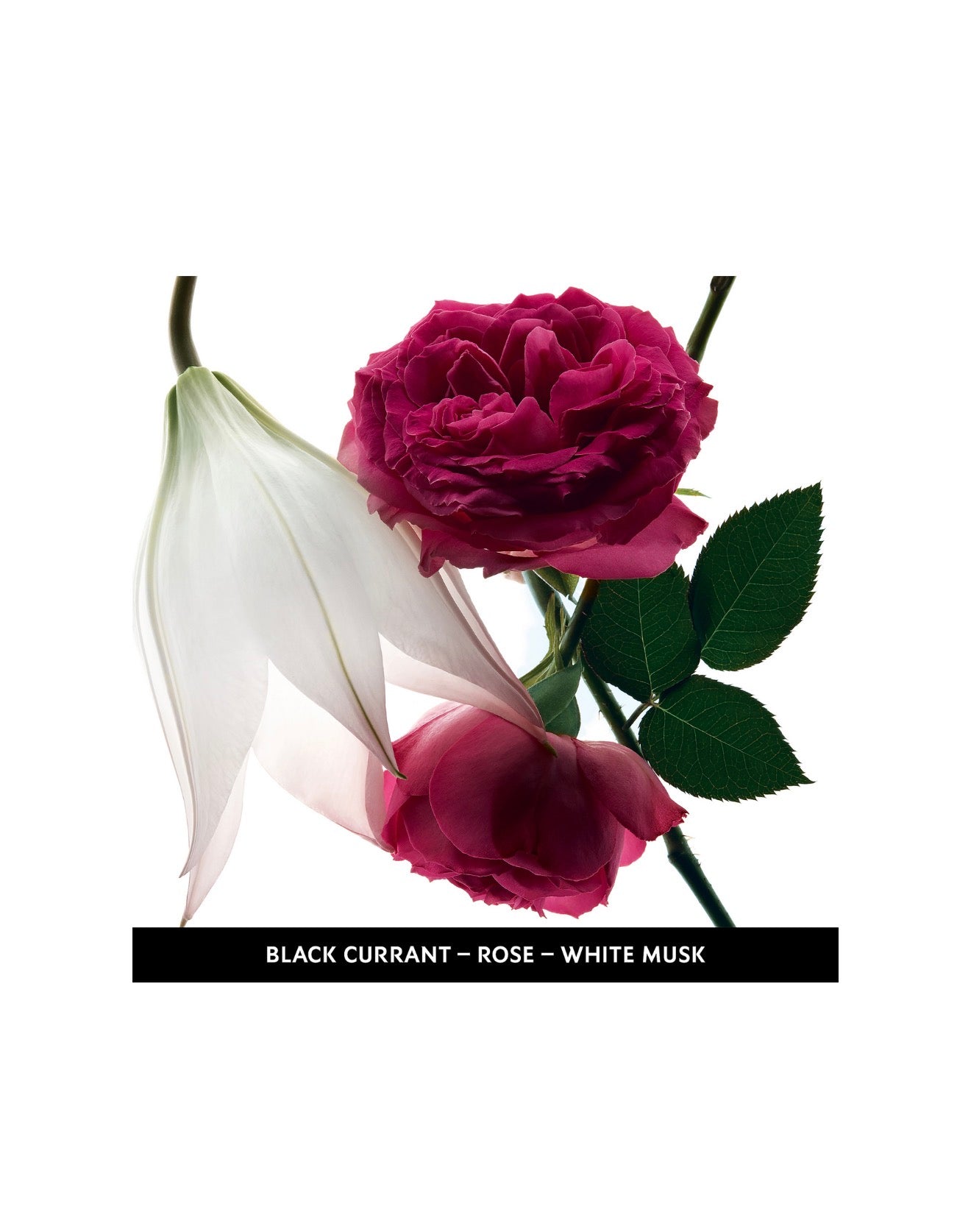 Yves Saint Laurent Mon Paris Intensément Eau de Parfum Fragrance Collection 3.04 oz