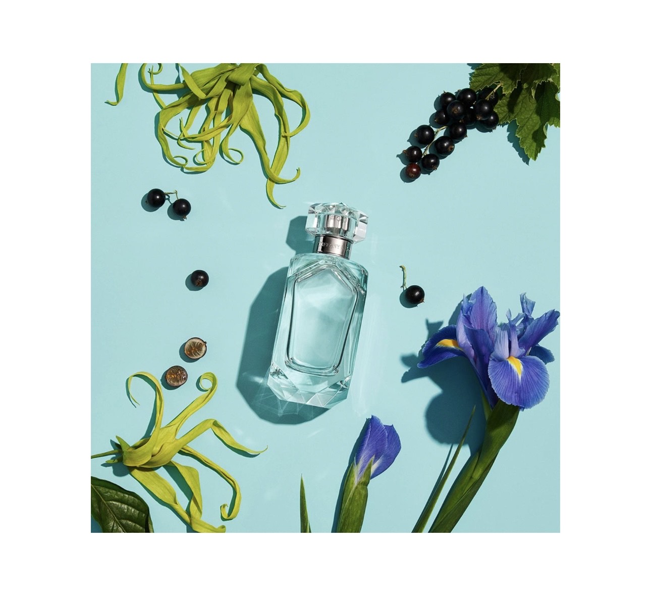 Tiffany Sheer by Tiffany & Co. for Women 1.7 oz Eau de Toilette Spray