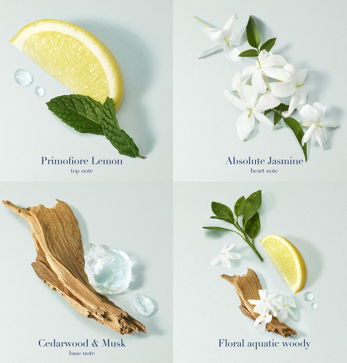 Giorgio Armani Gioia Eau de Parfum. 3.40 oz