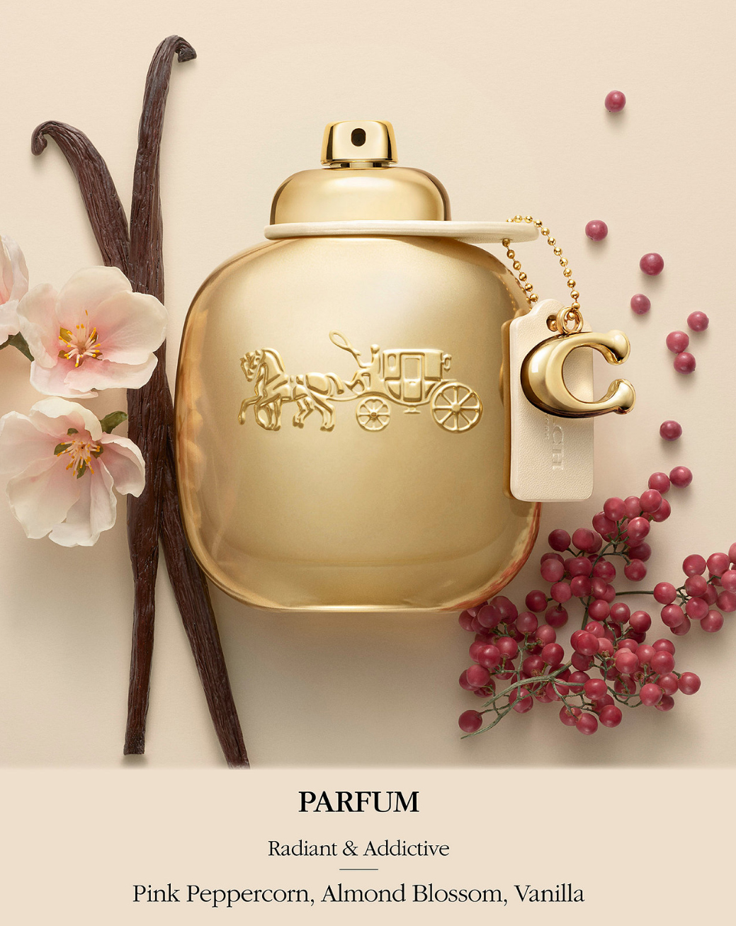 Coach Gold Eau de Parfum 3 oz for Women